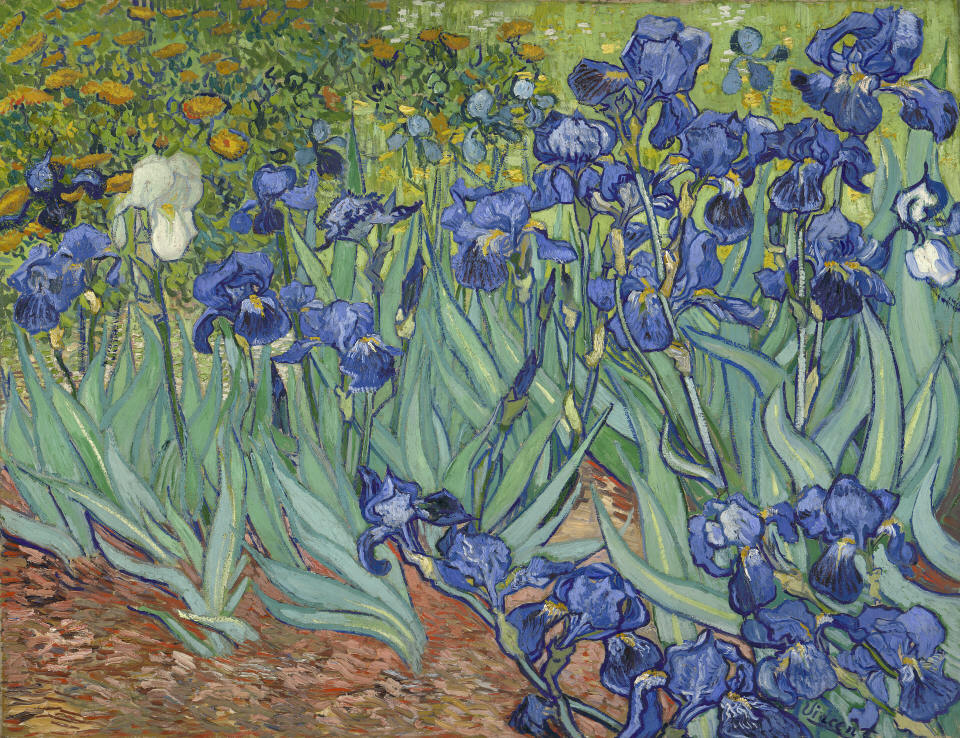 Irises - Vincent van Gogh [Dutch, 1853 - 1890]
