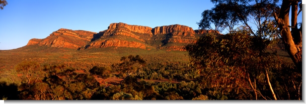 Rawnsley Bluff, Flinders Ranges