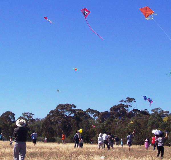 Kites in Royal Park