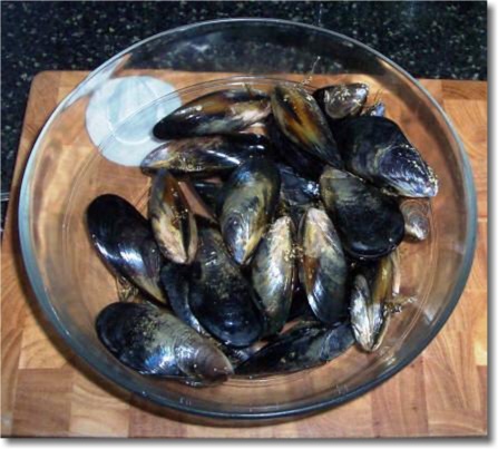 Mussels