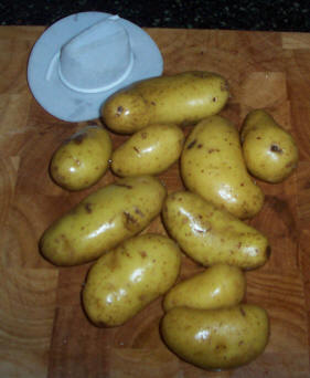 charlotte potatoes