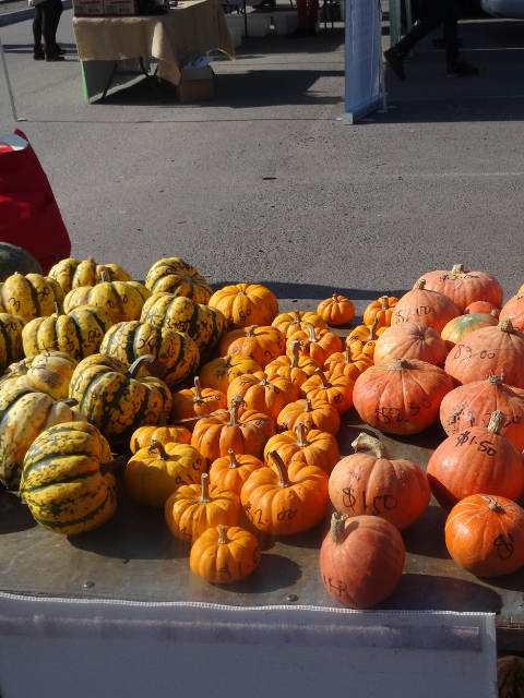 Pumpkins at Substation Farmers Market