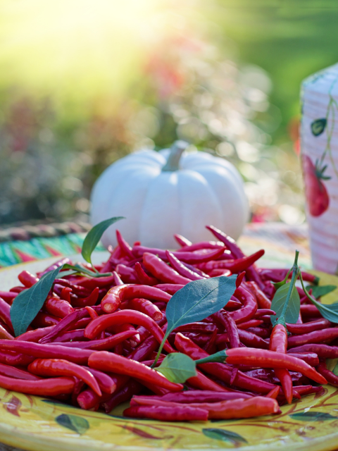 Red chillies on plate