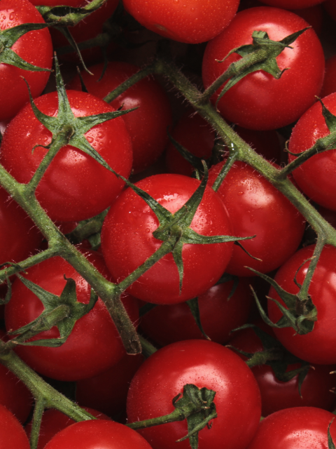 Truss cherry tomatoes