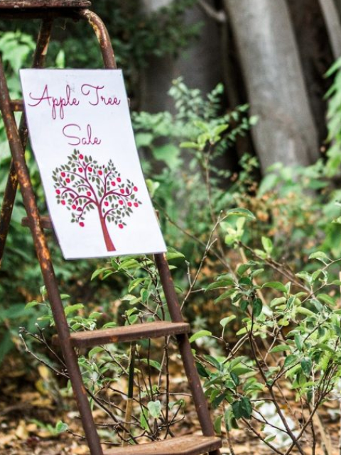 Rippon Lea Heritage Apple Tree Sale