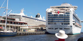 Cruise ships at Station Pier.