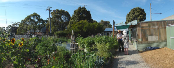 Sprout Community Garden