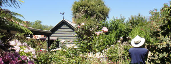 Garden at Ziebell's Farmhouse, Westgarthtown