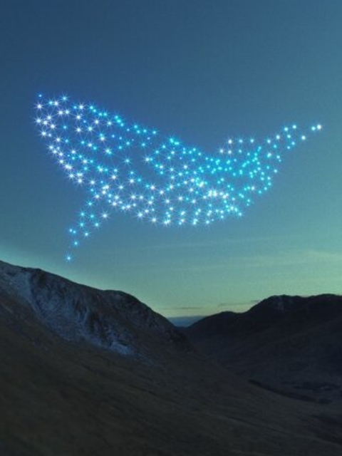 Whale image formed by drones