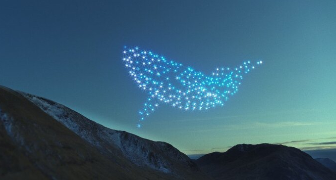 Image of whale made by drones