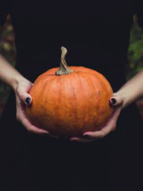 Goomeri Pumpkin Festival