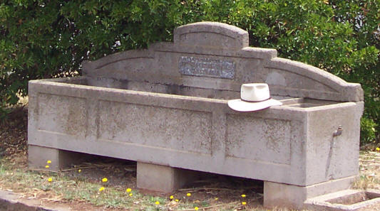 Bills Horse Trough