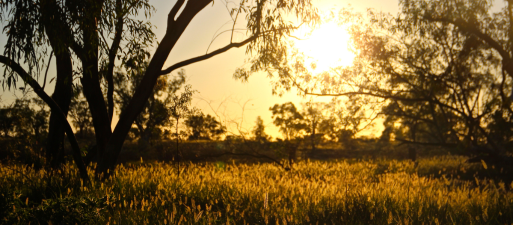 Sunrise in Inland Queensland