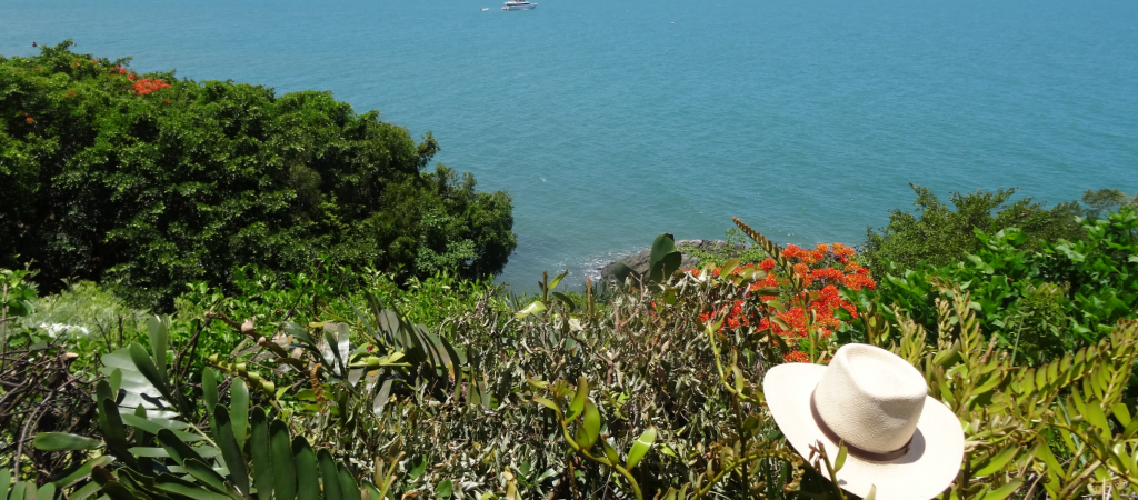 View of Coral Sea from Port Douglas