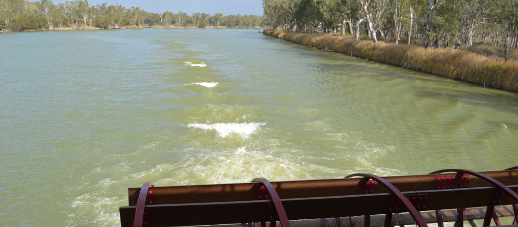 Paddleboat on the Murray River in the Riverland, South Australia