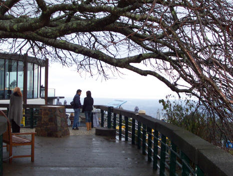 'SkyHigh' at Mount Dandenong